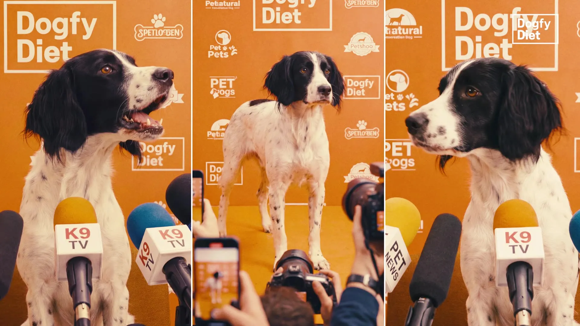 Still from the Dogfy Diet campaign produced with the support of artificial intelligence.