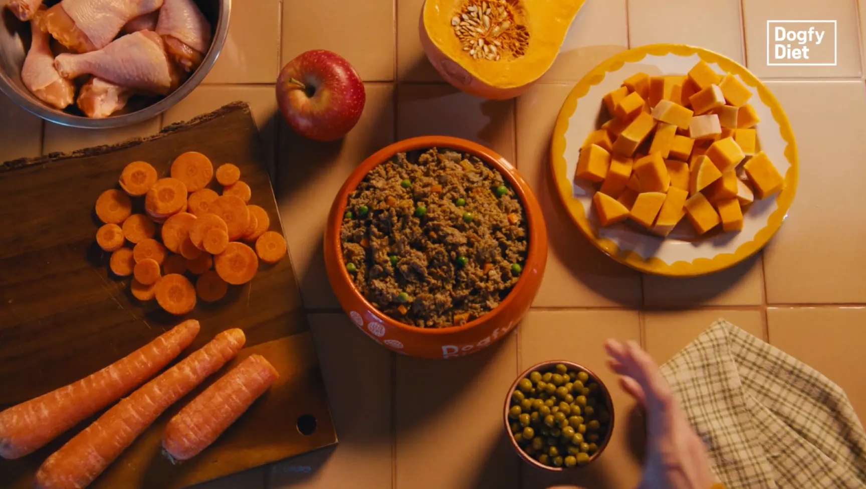 Fotograma de la campaña de Dogfy Diet: plano cenital de un cuenco de comida Dogfy Diet rodeado de ingredientes frescos —zanahoria, manzana, calabaza y guisantes— sobre una encimera de azulejos.