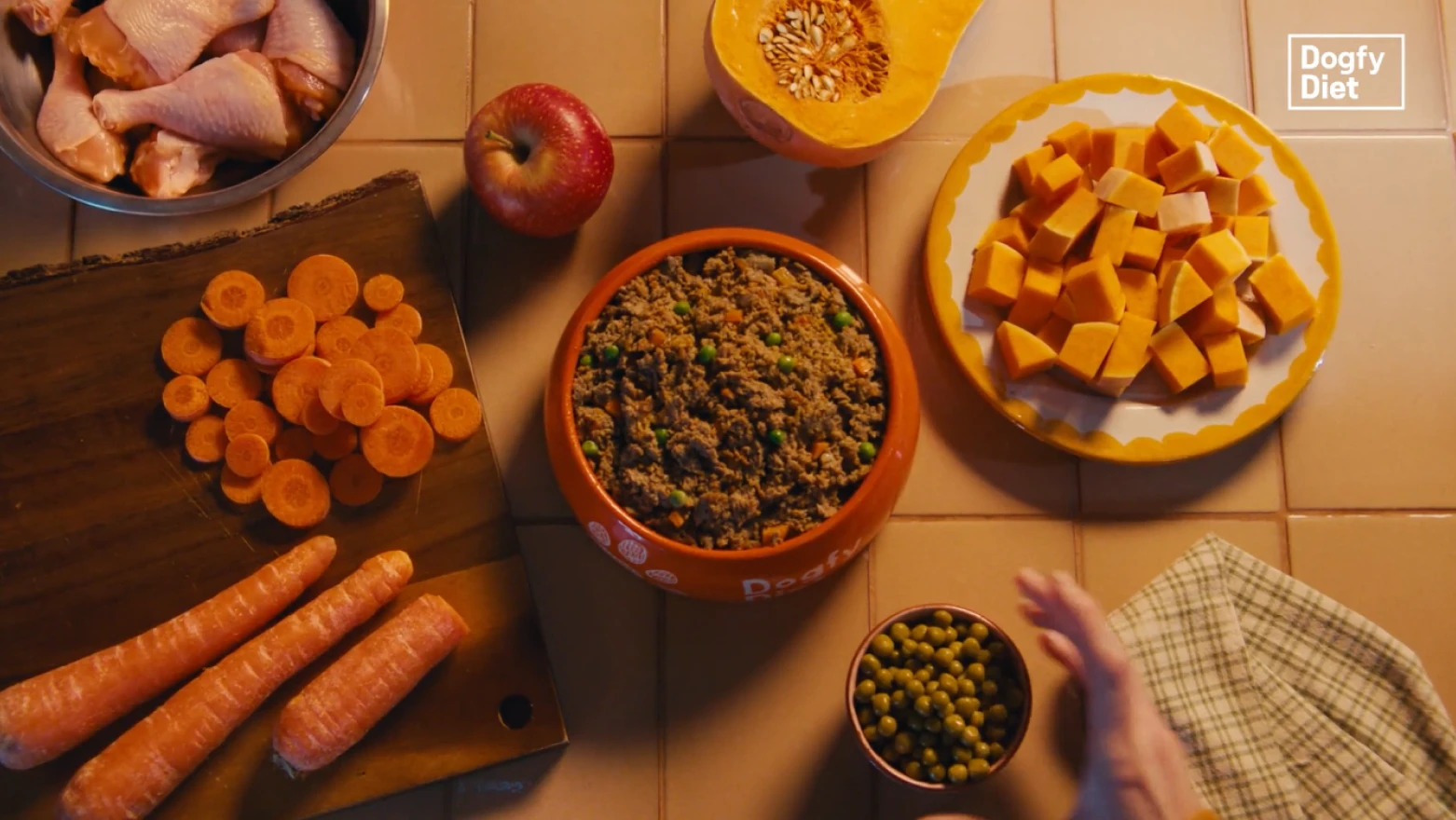 AI-generated gastronomic still lifes for the Dogfy Diet campaign.