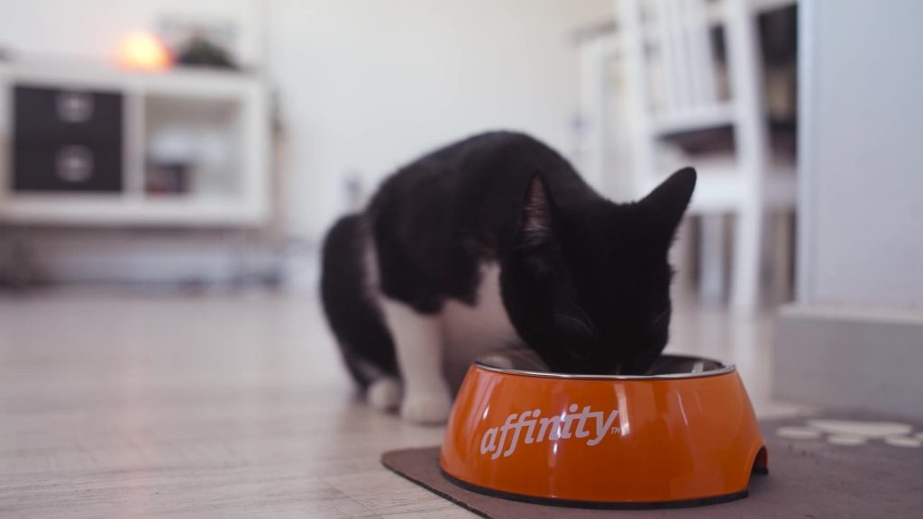 frame_688-2-1024x576